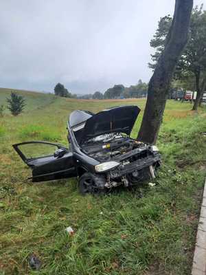 na zdjęciu znajduje się czarny pojazd, który uderzył w drzewo